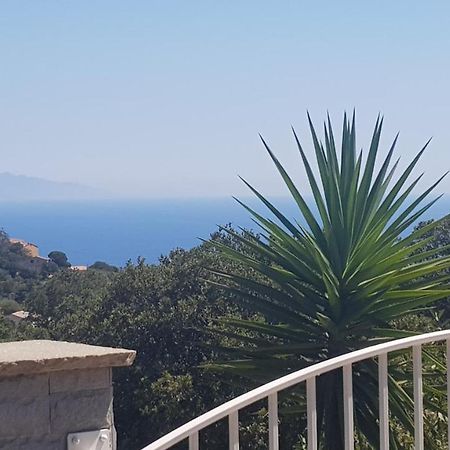 Bas de Villa chez Mr.Girolami Dominique Bastia  Esterno foto