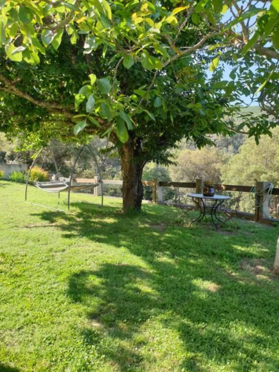 Bas de Villa chez Mr.Girolami Dominique Bastia  Esterno foto